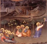 The Orthodox understanding of the Will of Christ