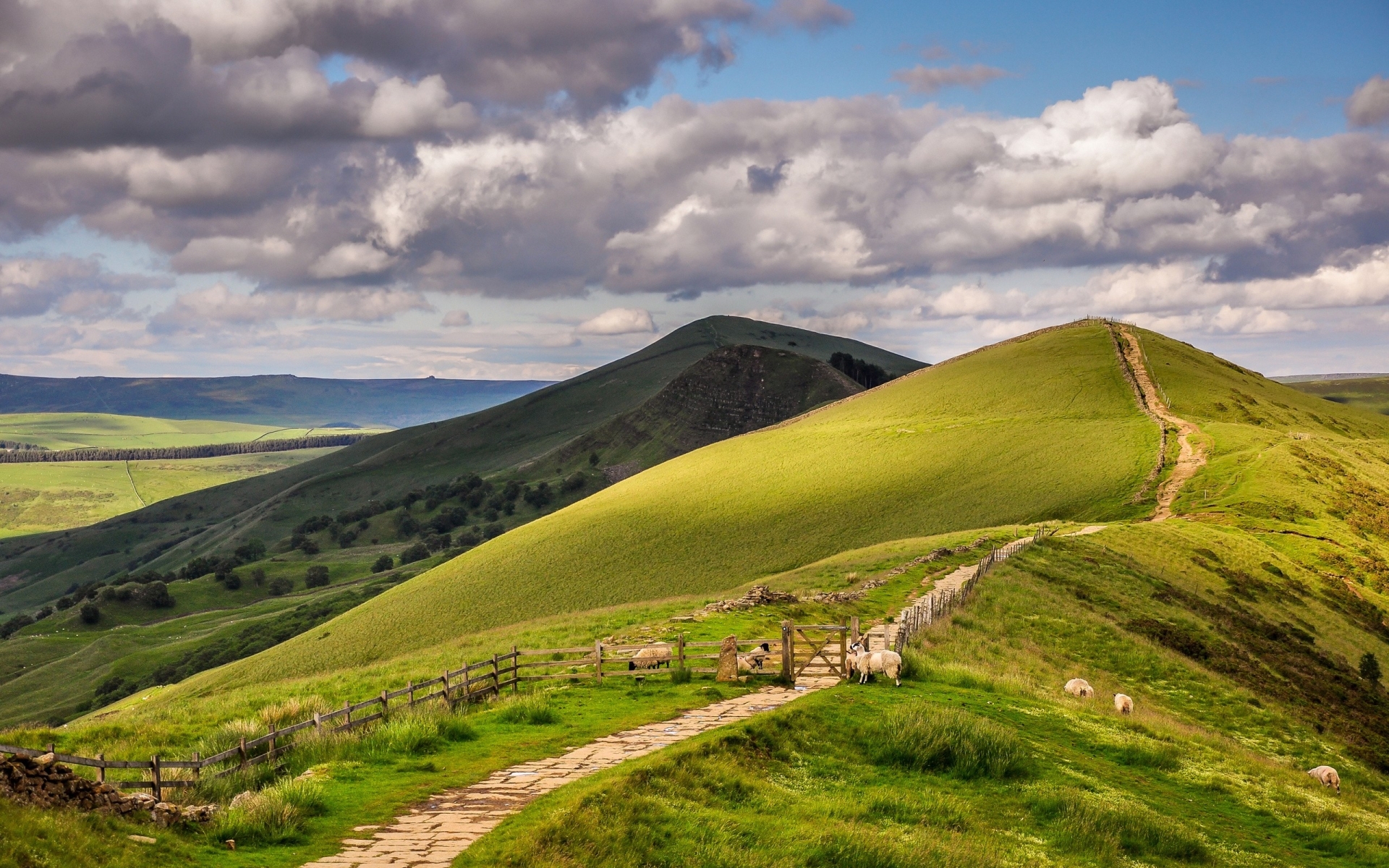 ws_Mountain_Path_&_Sheeps_1920x1200