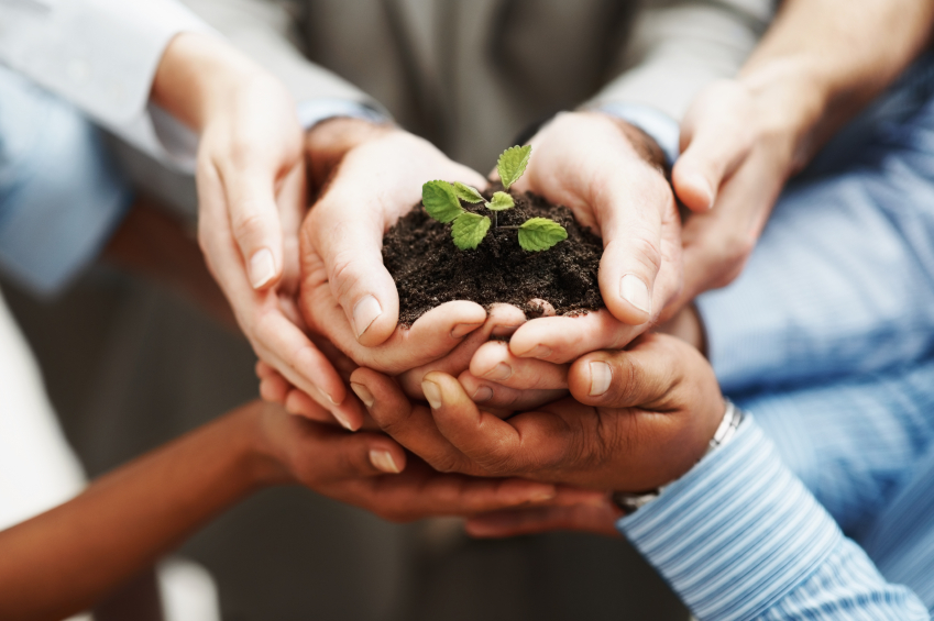 hands-holding-seedling-849×565